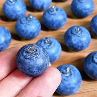 10Pcs 3D Small Blueberry Resin Charms Cute Simulated Fruit Food Pendant DIY For Earring Necklace Jewelry Accessories