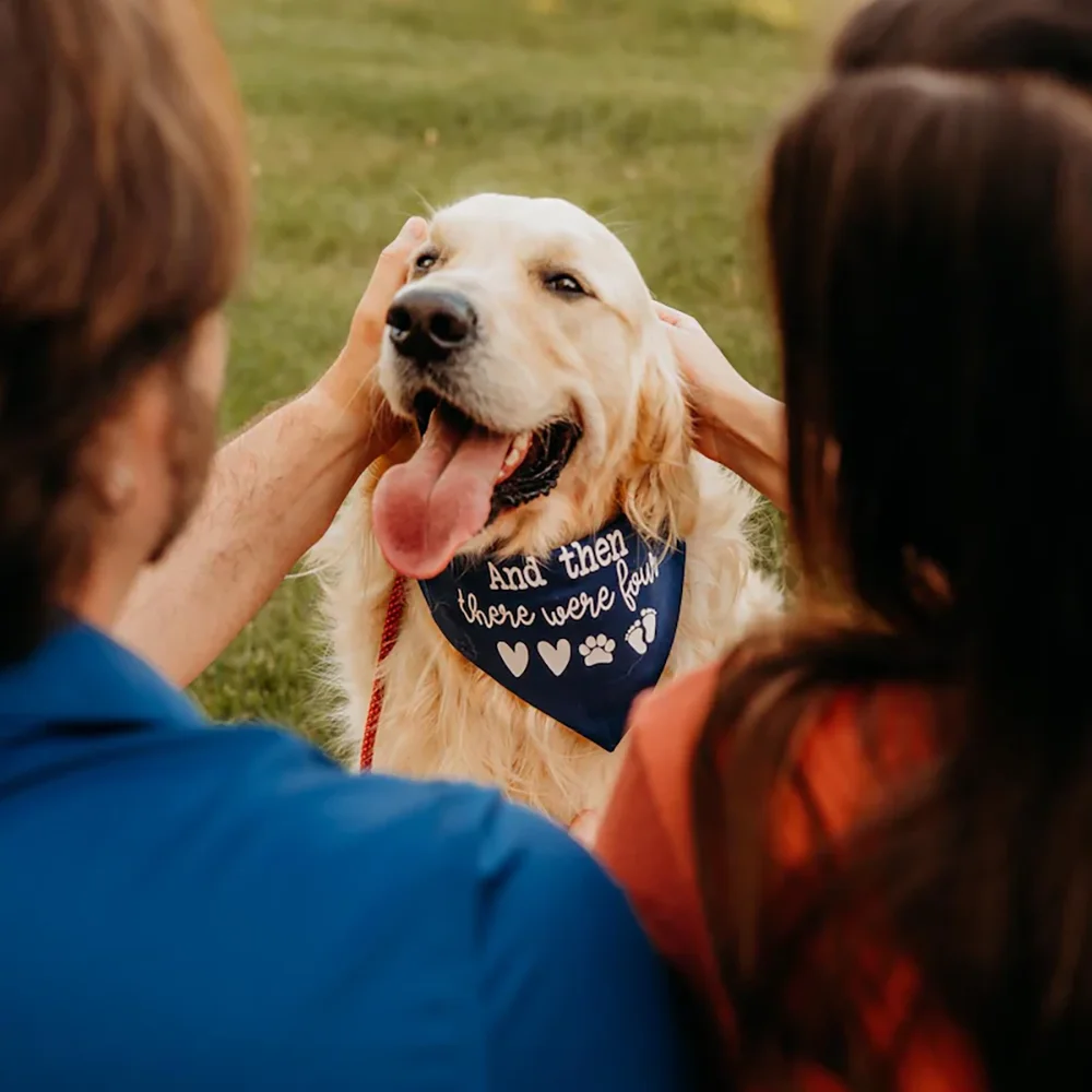 

Pregnancy Announcement Dog Bandana and Then There Were Four Baby Announcement Dog Decoration Supplies Photo Prop Baby Shower