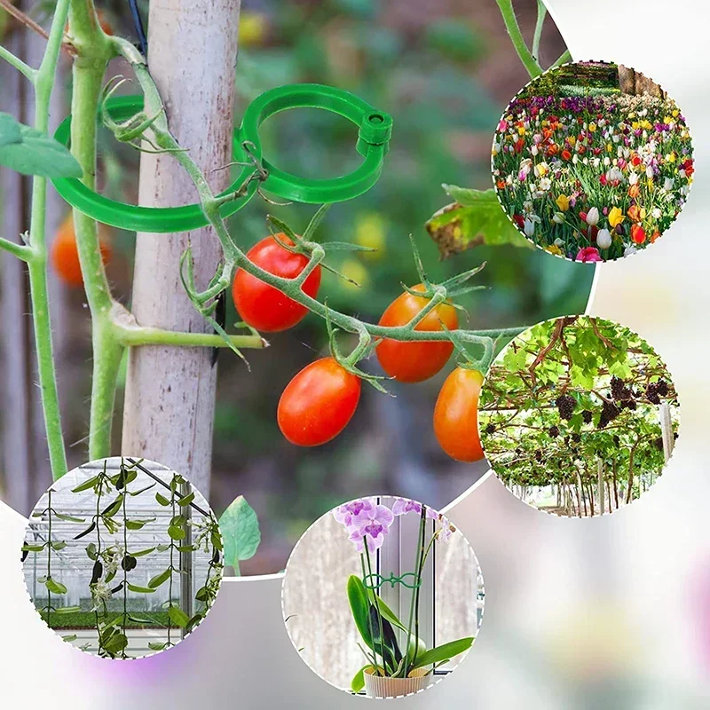 30/50pcs Plant Clips for Supporting and Attaching Plants Plant Clips Climbing Plants Bundled Buckle Ring Holder Garden Accessory