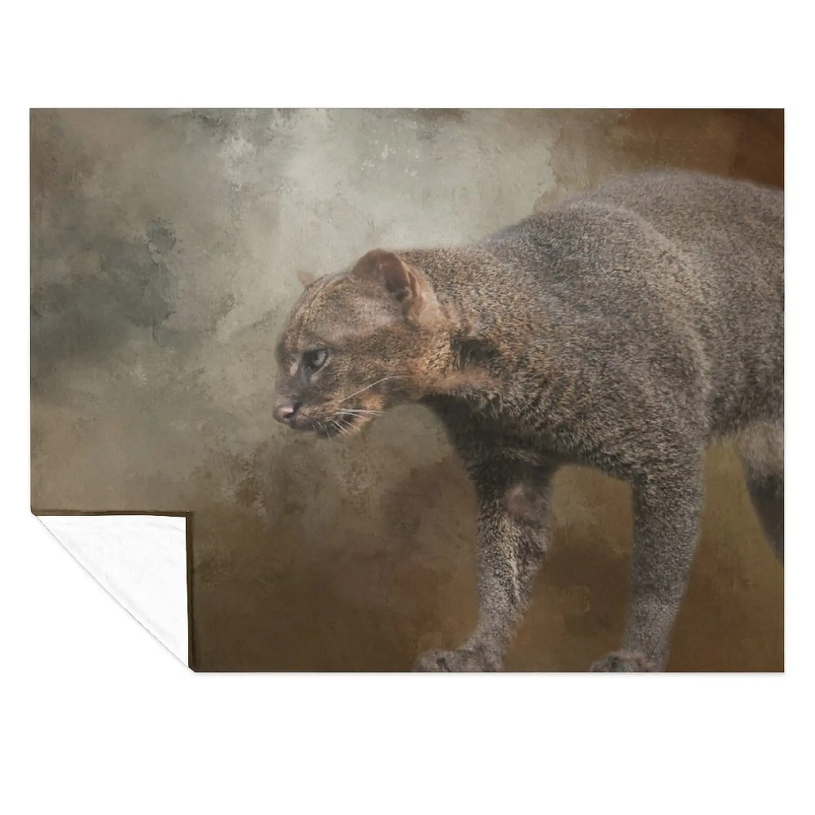 

Jaguarundi Cat One Throw Blanket Bed Hair Heavy Blankets