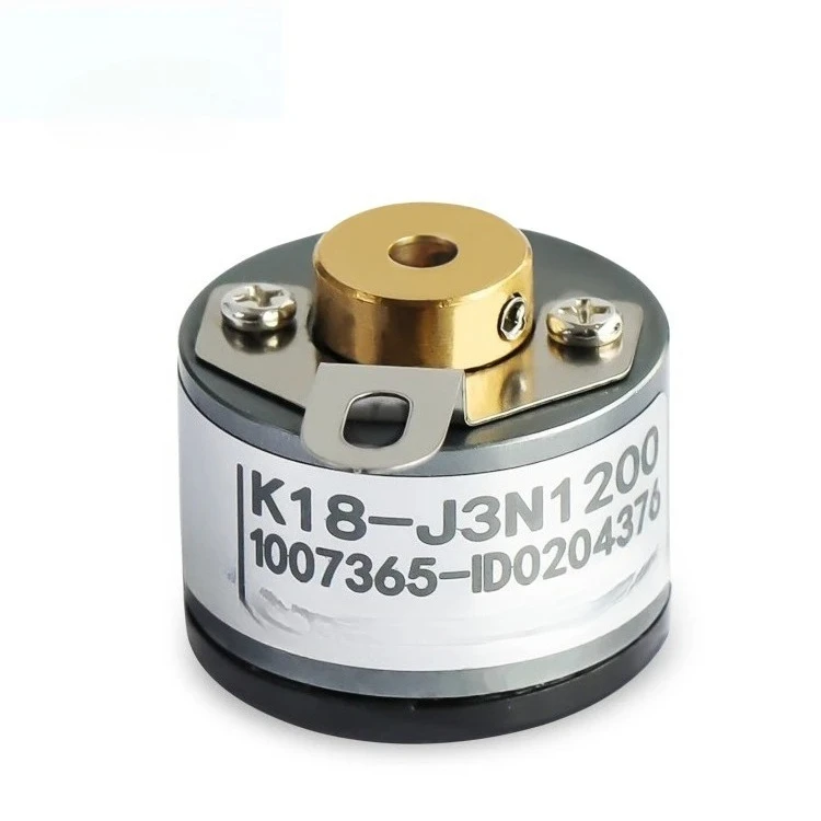 Miniature Hollow Sh…