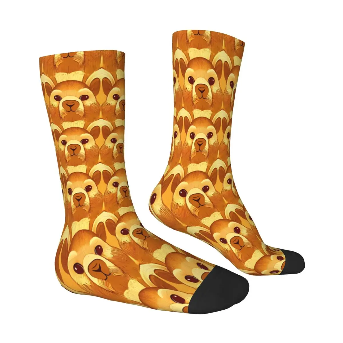 Chaussettes en polyester à motif Capybara pour hommes et femmes, bas de printemps, overd'inde