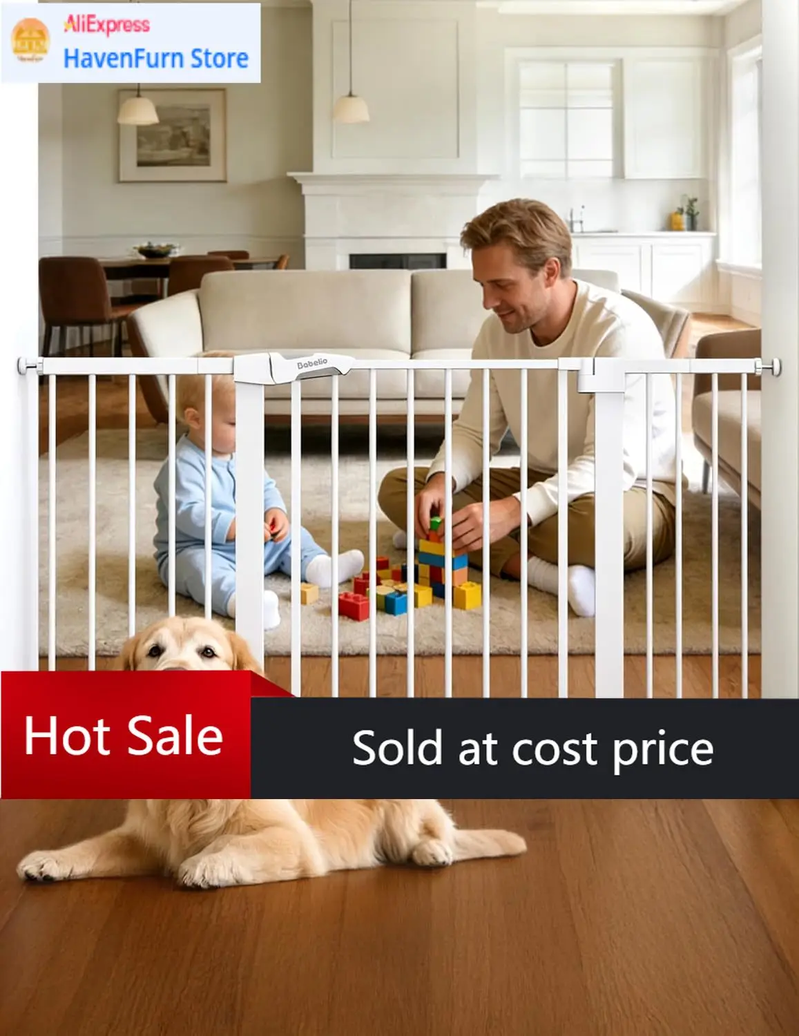 Activity Price29-55…