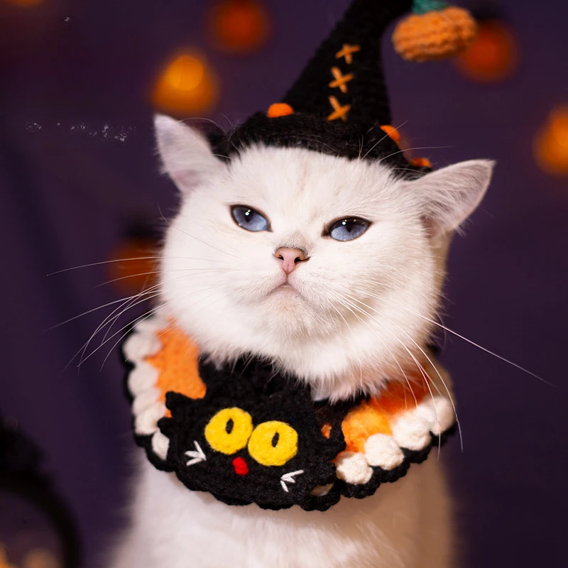 yZ[znEBybgXJ[tւ悾ꂩ悾^ILƌ̑nEBʔߑS[XgtFXeBoD