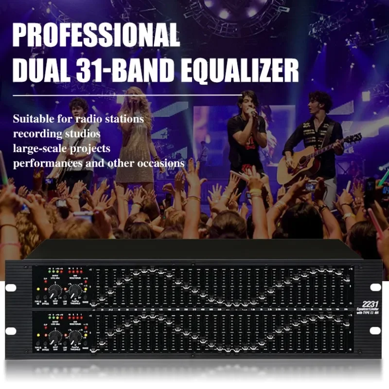 RAYHAYES 2231 EQ Audio Equalizer Stereo Dual 31-band Equalization Adjustment Karaoke Audio Processor for Home DJ Performance