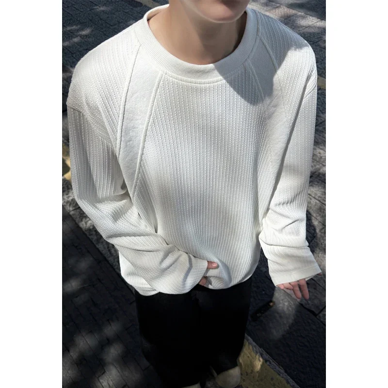 Mens Casual Crew Neck Knit Sweater Long Sleeve Vertical Texture Raglan Sleeve Soft Fabric For All Season Layering view 3