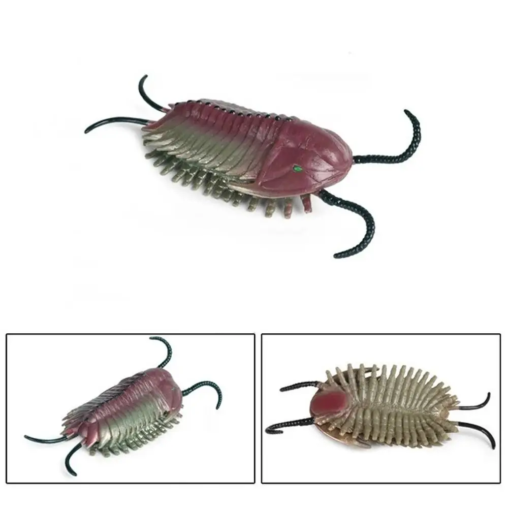 

Prehistoric Ocean Animal Figure Nautilus Anomalocaris Marine Life Figurines Educational Ancient Trilobite Figure Kid Toys