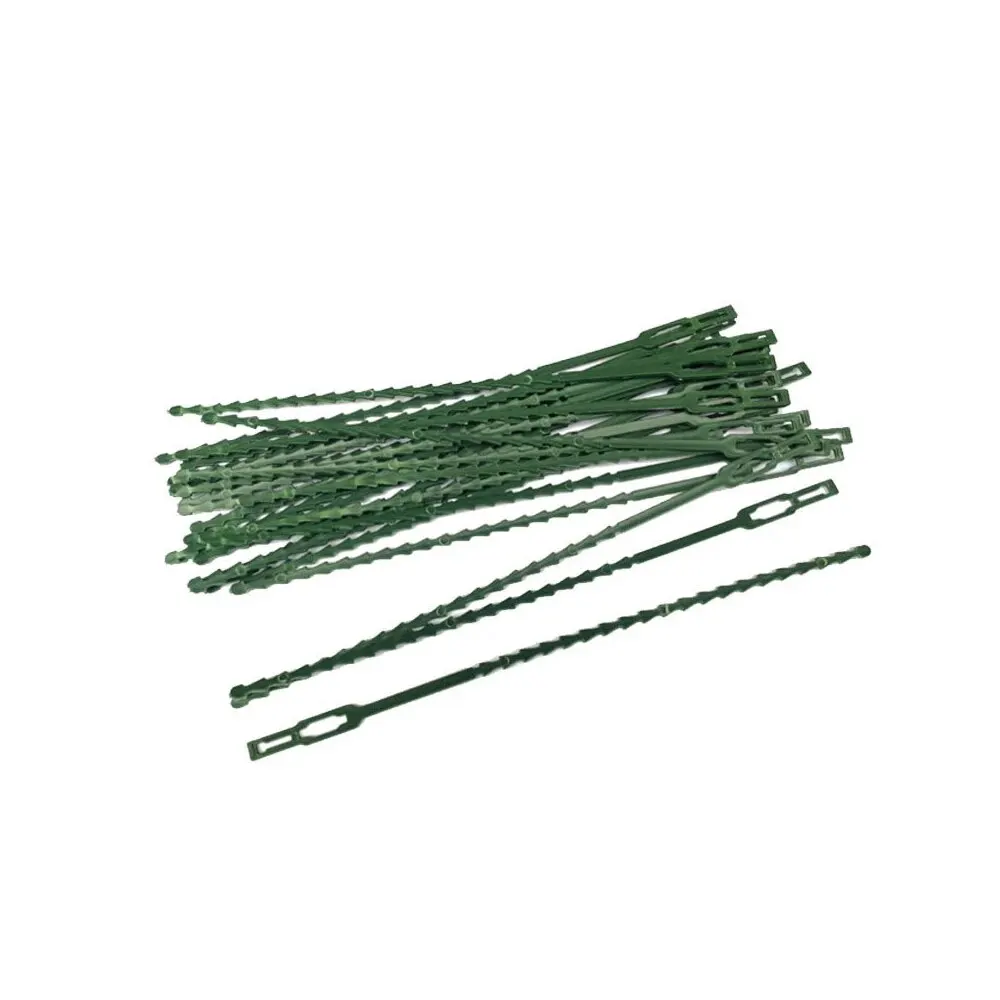 30pcs Pack of Horticultural Plastic Ties, Binding Buckles, Garden Plant Fixation, Green Tying Rope with a Length of 23cm