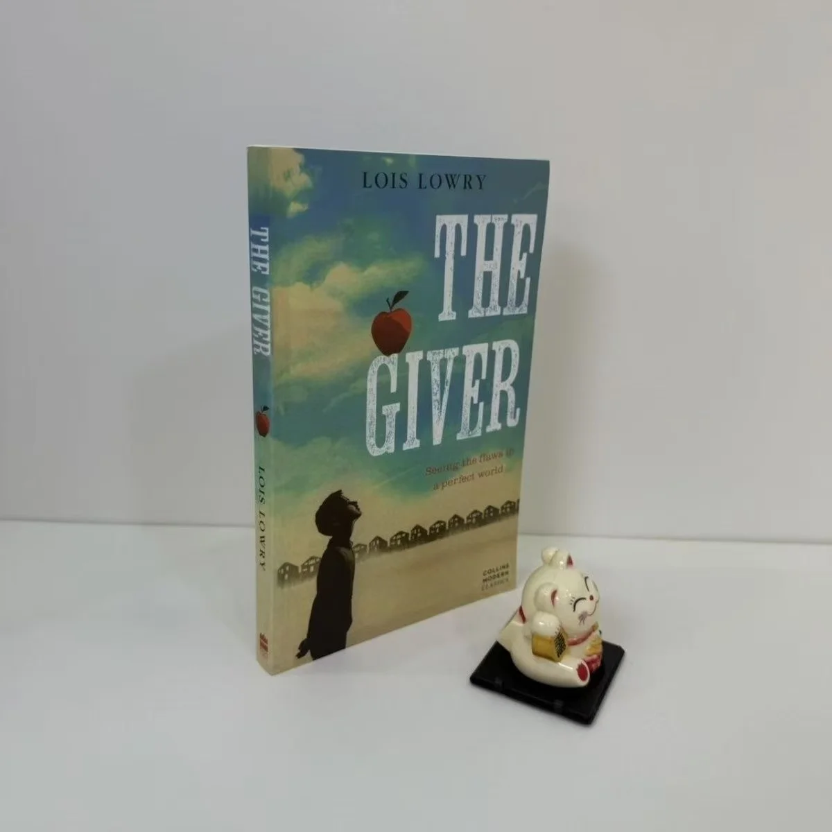 

The Giver: похожая на складе в книгу в мягкой обложке Perfect World на английском языке