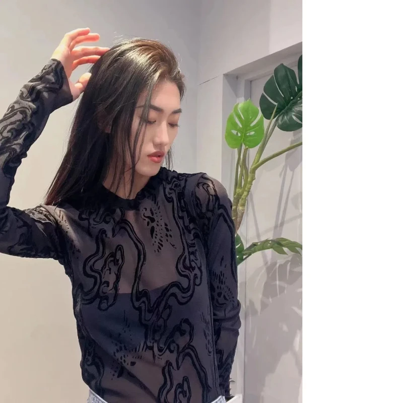 2024 Spring Fashion Versatile Slim Fit Elastic Long Sleeve T-shirt Plush Printed Mesh Bottom Shirt