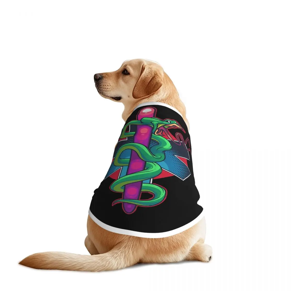 Custom Star Of Life…