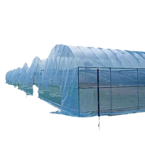 2025Commercial Farming Plastic Green House Metal Frame Structure Single Span High Tunnel Agriculture Greenhouse