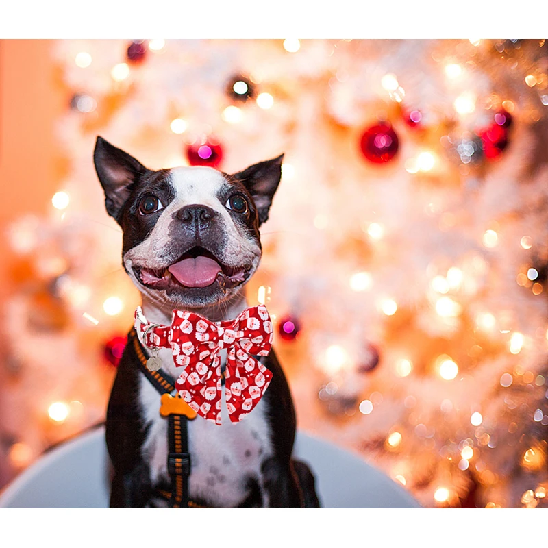 Collare per cani di natale personalizzato con zampe in stile unico con fiocco collare per cani con babbo natale rosso collare per cani a fiori cane