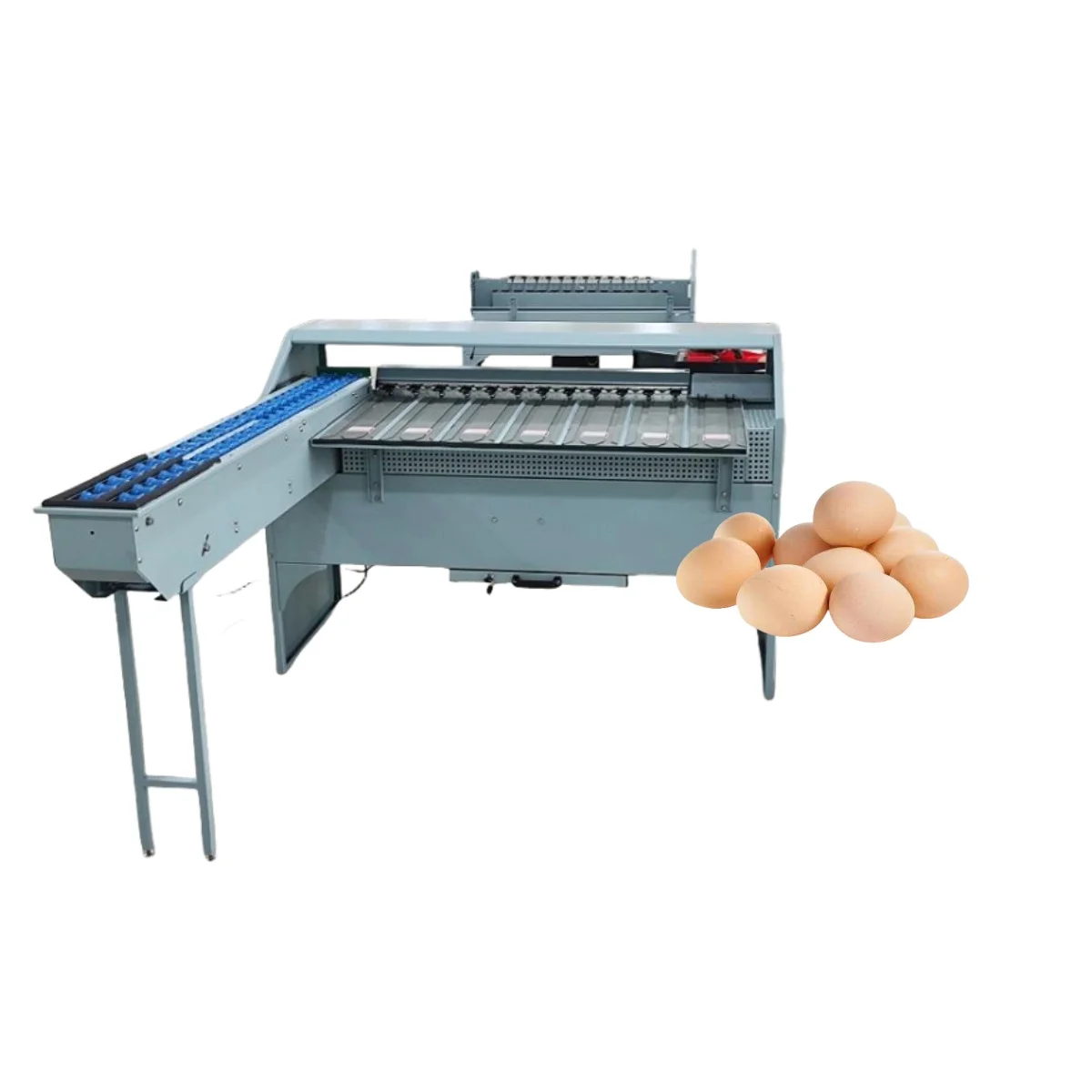 FOODLINE Intelligent Egg Grading Machine Adjustable Weight Threshold For Different Egg Size Classification