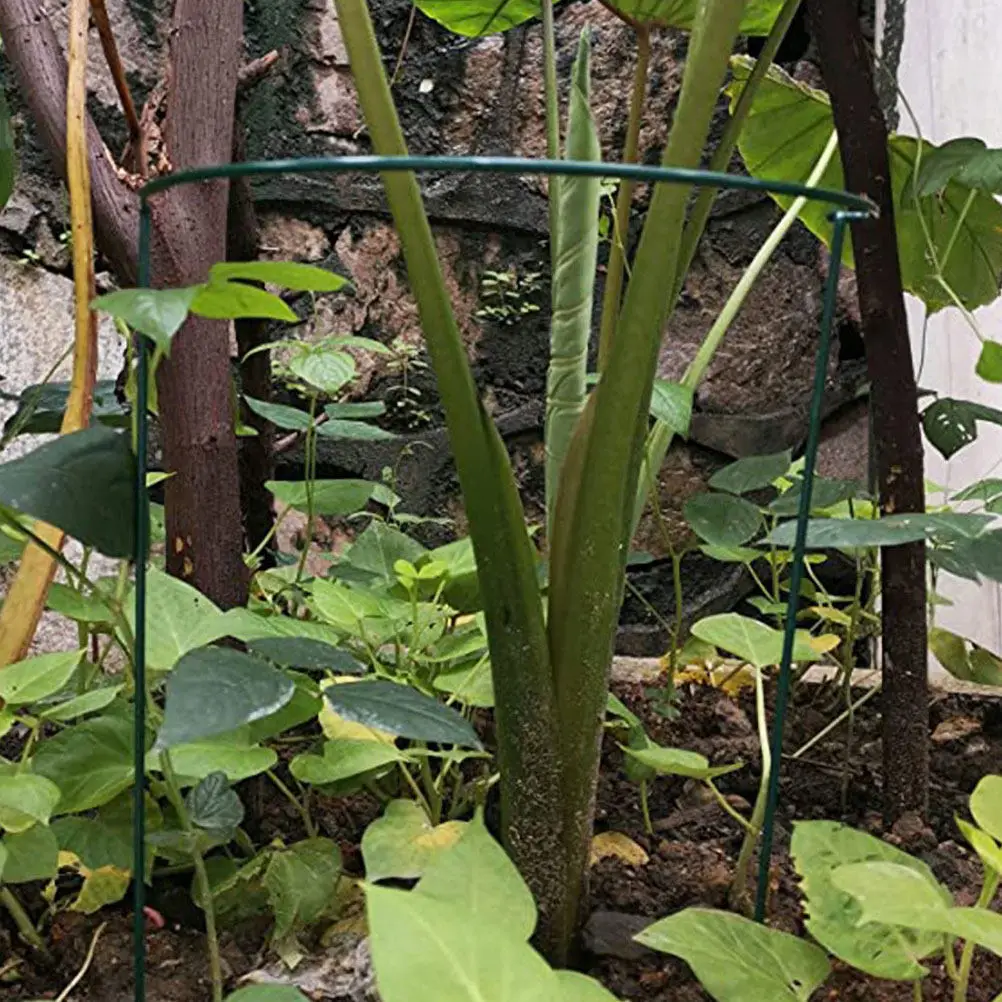 

Набор из 6 металлических U-образных опор для растений: для вьющихся растений, овощей, орхидей. Подходит для использования в помещении и на улице. Прочная, гладкая конструкция.