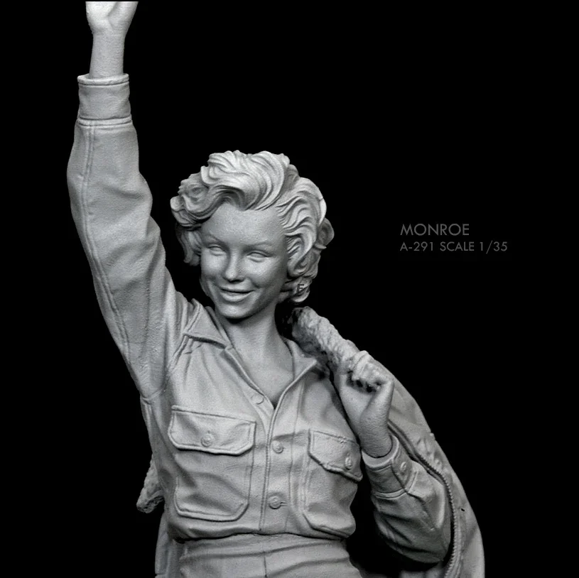 

Комплект модели из смолы 1/35, самособранный и цветной A-291