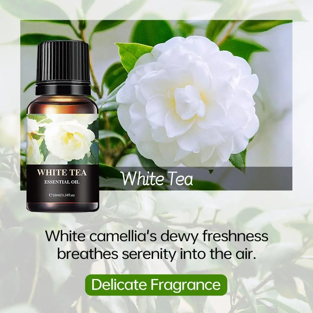 Pure Essential Oil for Aromatherapy Diffuser White Tea Ocean Mint Scent Natural Botanical Extract Room Fragrance for DIY Candles image 2