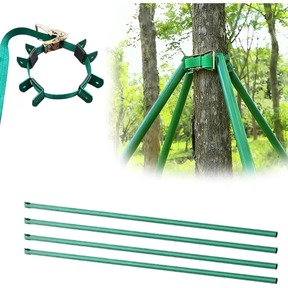 

Sturdy Tree Braces for Various Heights: 1m-3m, Strong Wind Resistance, Prevents Leaning (5.6ft)