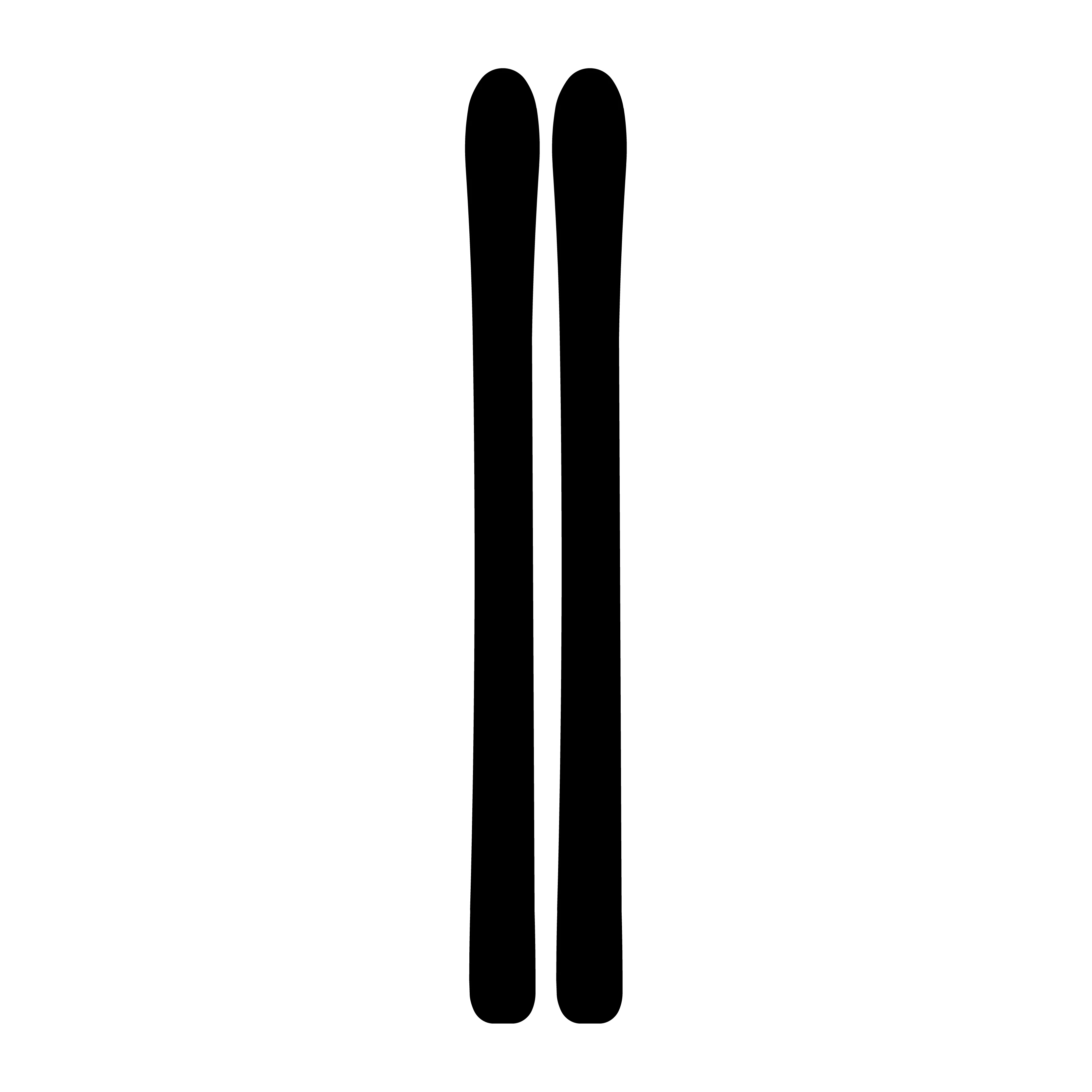 High Quality China Wholesale Manufacturer Supply All Mountain Alpine Ski Product Twin Tips Ski Back Country Ski for Adult