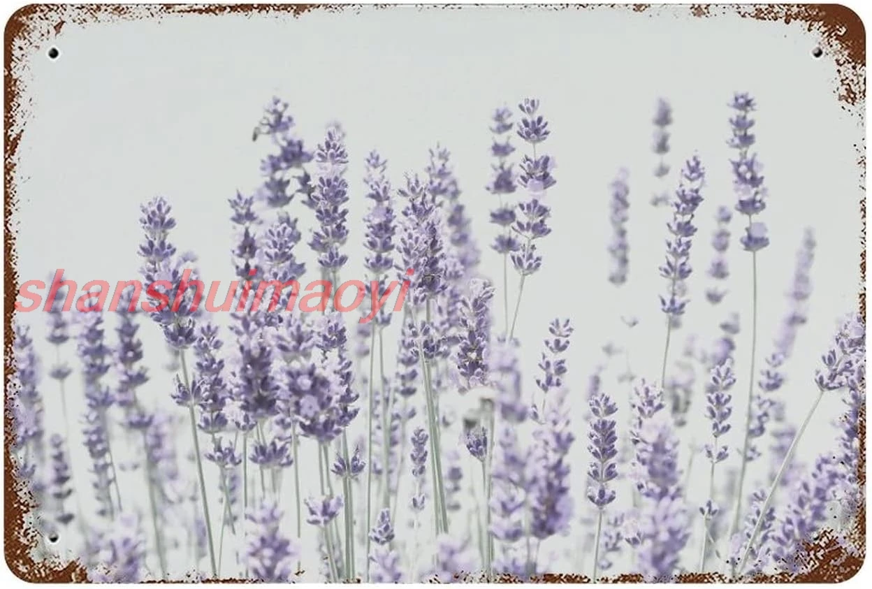 Habilboi Retro Purple Lavender Flower Art Painting tin Sign Lavender Flowers Metal tin Sign Floral Wall Art,Wall Decoration Sign