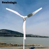 30000W 풍력 터빈 발전기 완전한 세트 24V 48V 10KW 자기 모터 무료 에너지 풍차 MPPT 인버터 Generador Electrico 3
