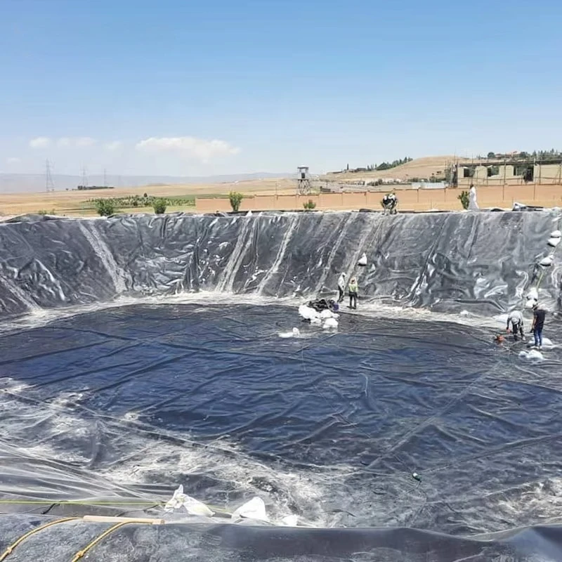 Custom HDPE Geomembrane Roll for Reservoir Wastewater Pond Landfill Mining and Anti Seepage Construction Projects