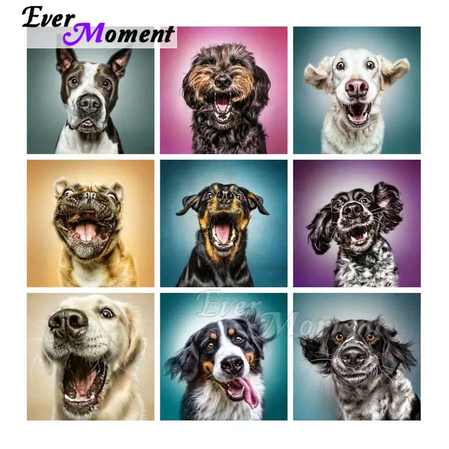 

Ever Moment Diamond Painting Dogs Animal Diamond Embroidery Cross Stitch DIY Square Round Drills Mosaic Home Art Craft ASF2084