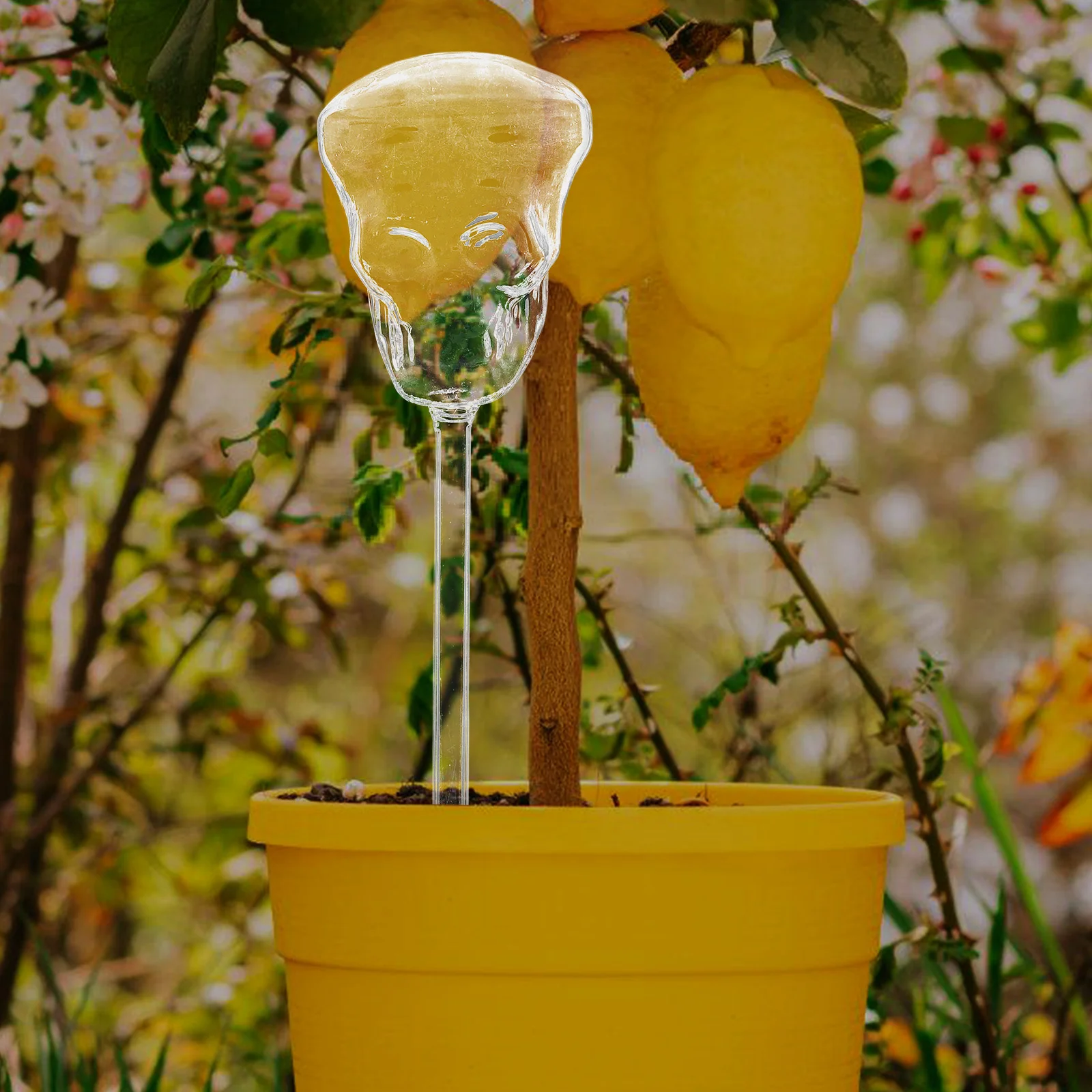 

Self Watering Plant Stakes Glass Dripper for Potted Plants Balcony Garden Yard Skull Shape Decorative Moisture Control Device