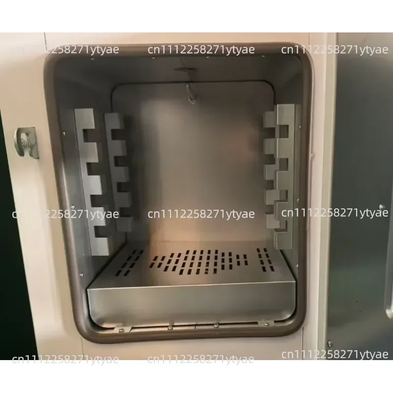Blower Drying Oven Electric Heating Constant Temperature Oven
