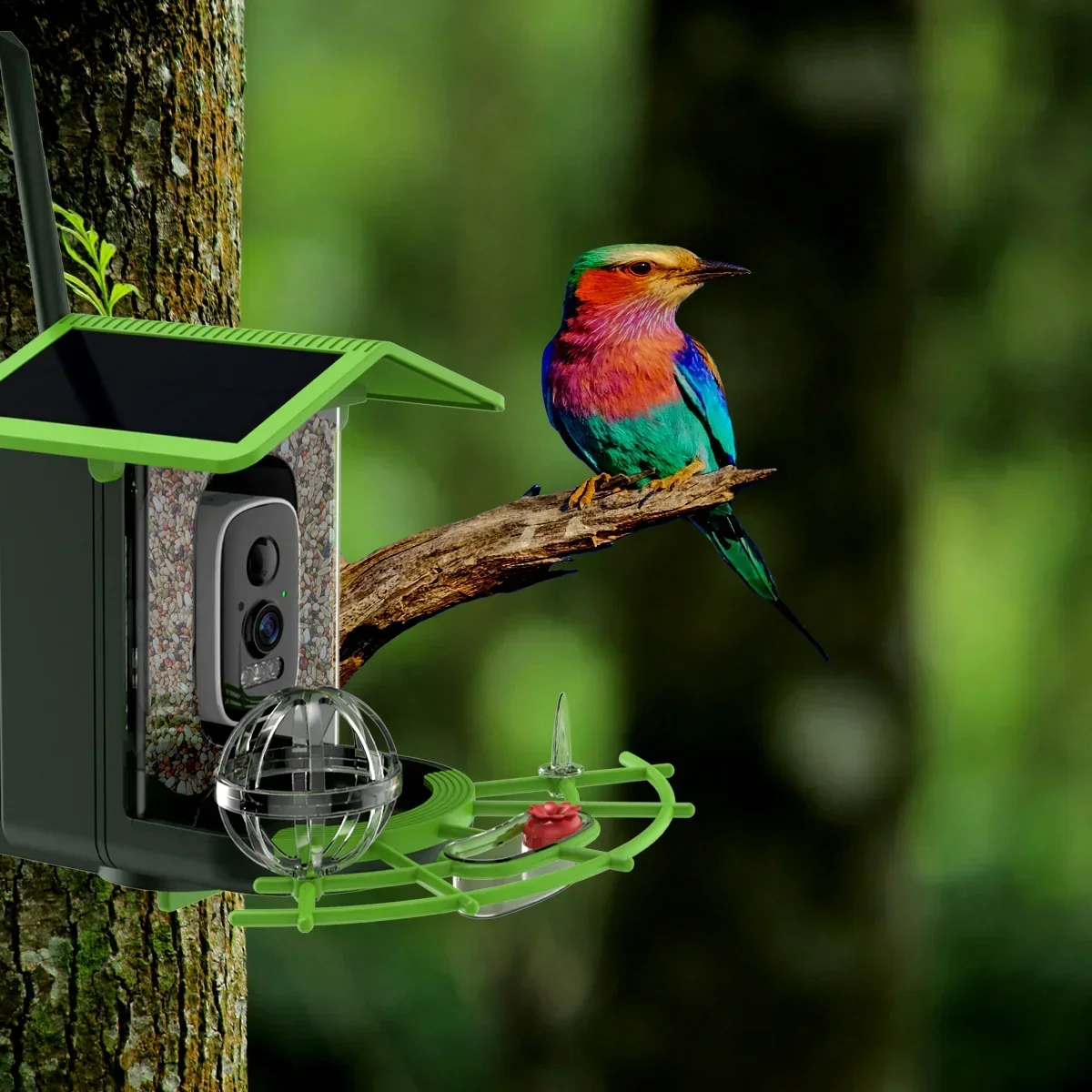 

XVIM Smart Bird Feeder with Camera 4MP Low Power Night Vision IP66 Waterproof 4G or WIFI Connect Real Solar Wifi Camera Outdoor