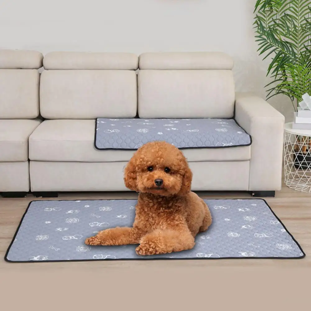 Soft Cat Pee Blanket Breathable Anti-skid Bottom Leakproof Pee Training Dog Urine Bed Mat  Dog Urine Pad Protect Floor