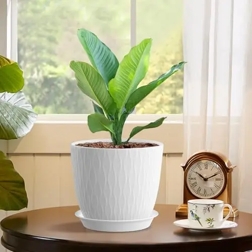 أوعية نباتات مقاس 7 بوصات، 5 عبوات مع فتحات وصحون تصريف، مزارعات بلاستيكية بيضاء للعصارة الداخلية #5