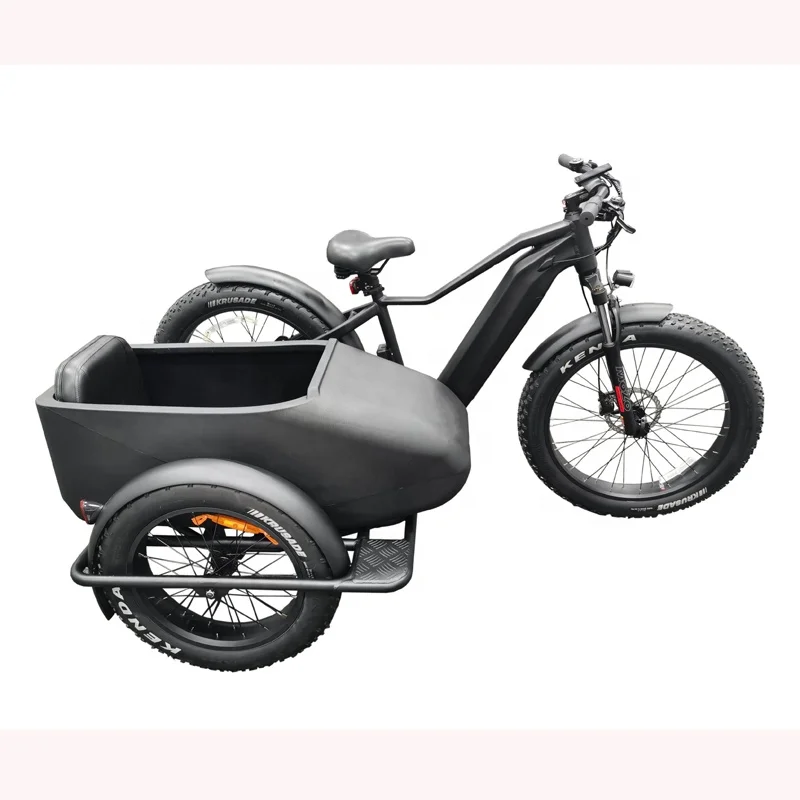 E bike Side Car Adult electric tricycle bicycle 3 wheel ebike electric cargo trike 750w hidden lithium battery etrike sidecar