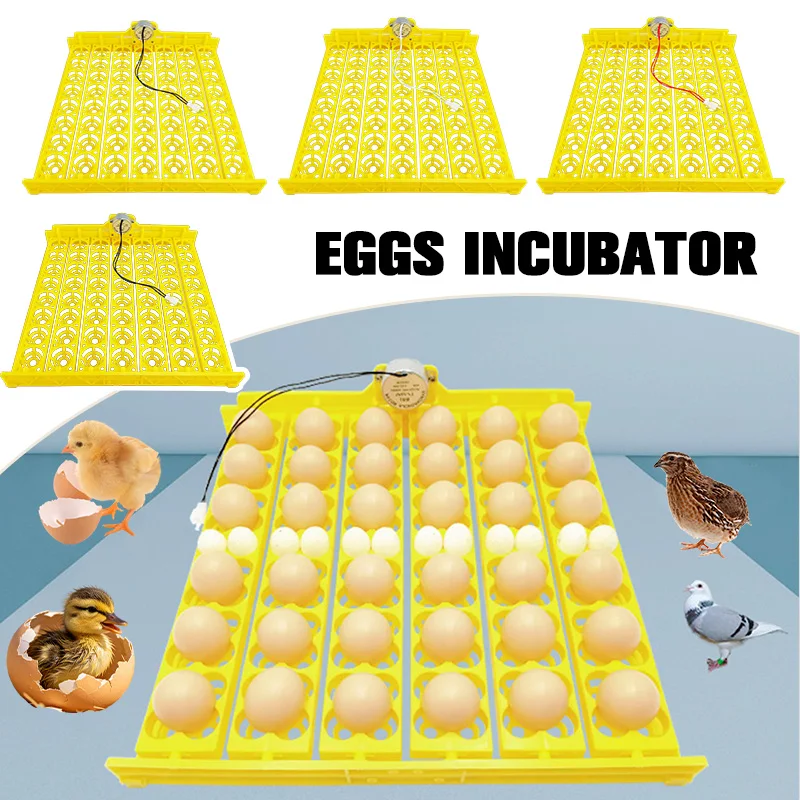 vassoio-girevole-automatico-per-incubatrice-da-56-uova-per-polli-anatre-e-pollame-attrezzatura-per-incubazione