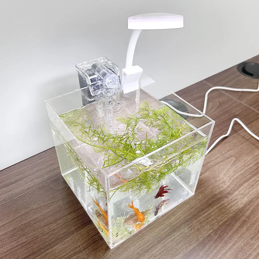

home office desktop transparent acrylic aquarium water grass ecological breeding small water tank, small shrimp, small turtle, s