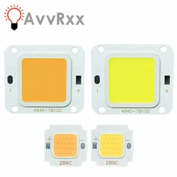 AvvRxx LED COB Chip 30W 20W 10W 슈퍼 파워 70W 60W 50W, 투광 조명 스포트라이트 전구 다이오드 LED 천장 조명 램프