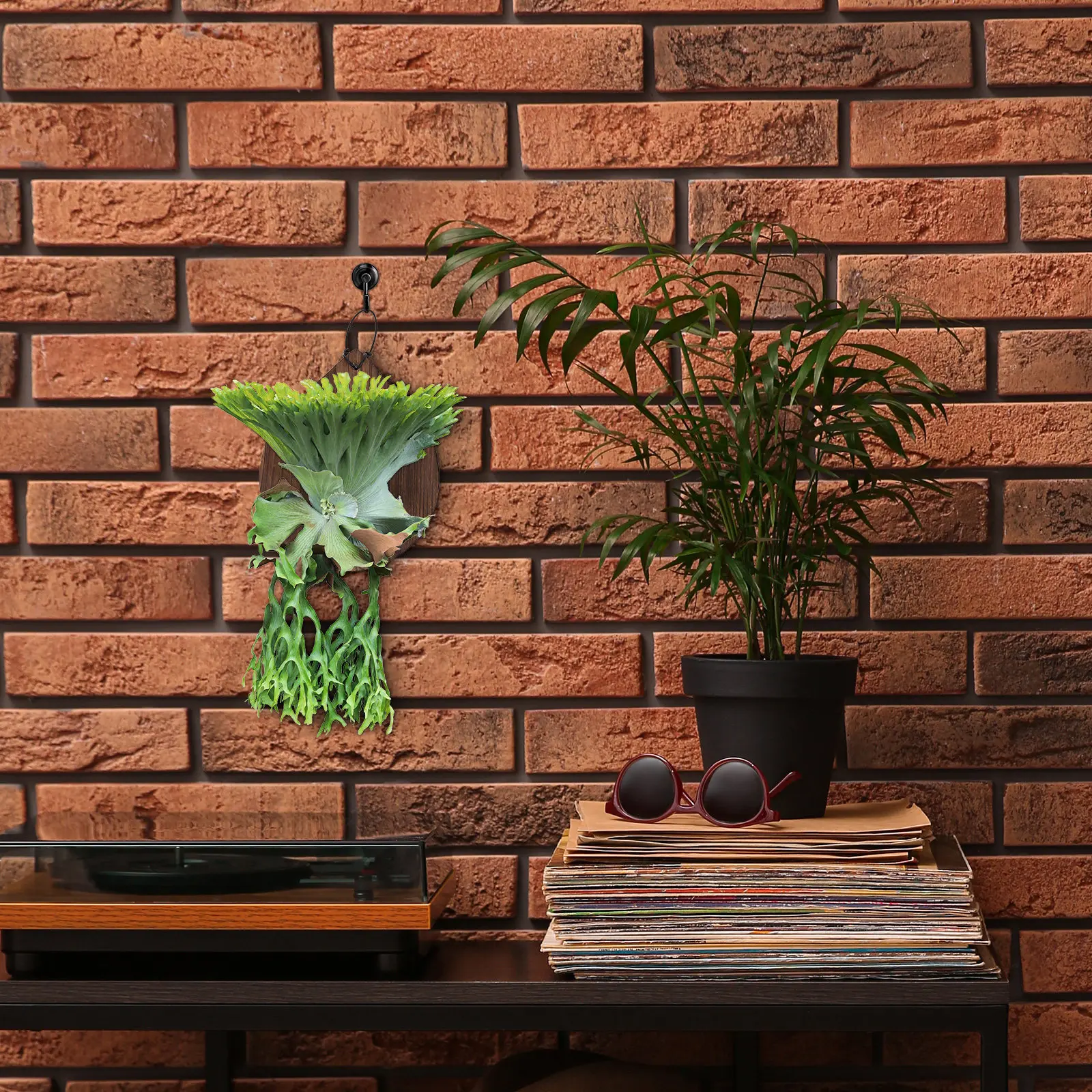 

Fern Mounting Board Solid Wood Vertical Garden Planter Wall Display Plant Holder for Indoor Outdoor Orchids Platycerium Air