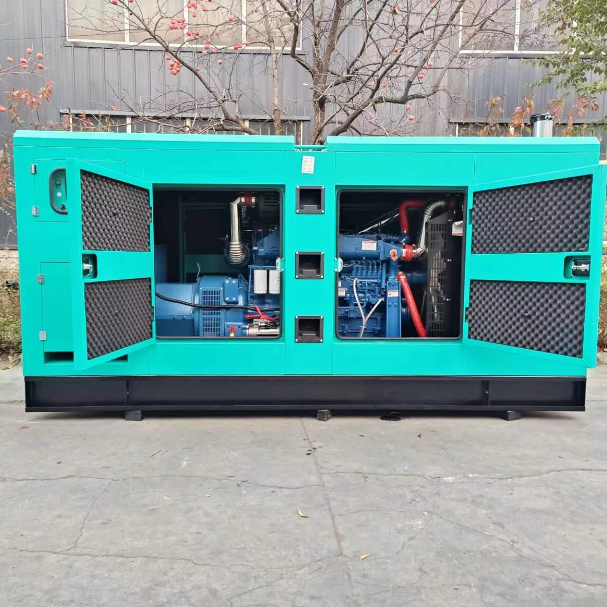 

30Kva 50 Kw 100Kw 120Kw Super Silent Diesel Generator Auto Start Remote Start Container Type Electricity Generation