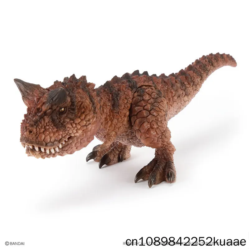 Bandai Mini Carnotaurus Dinosaur Model Realistic Prehistoric Animal Figurine Gashapon Collectible Desktop Ornament For Adult Toy view 3