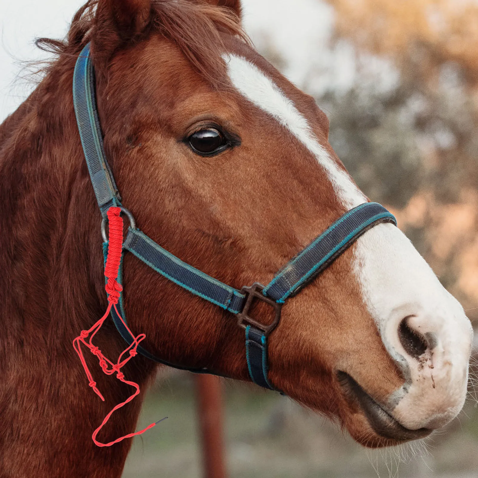 

Bridle Horse Rope Tied Halter for Headcollar Equestrian Equipment Fabric Breakaway