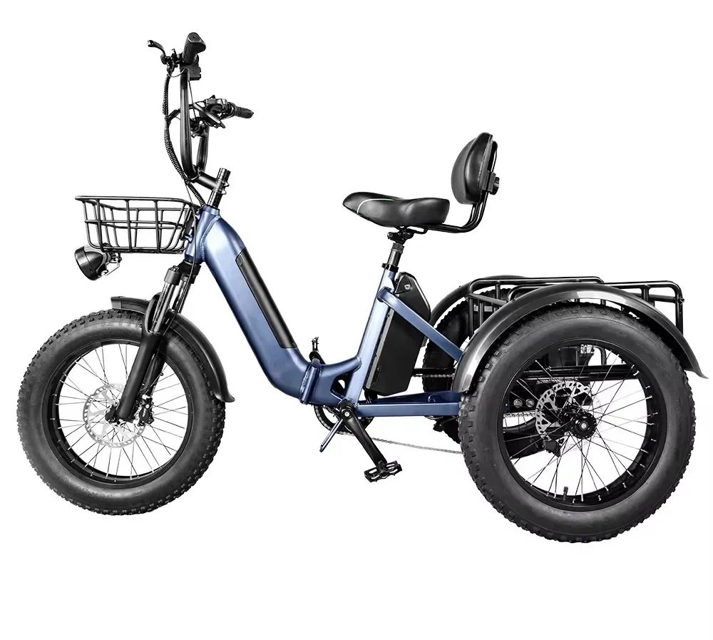 20 Inch 750W Motor Fat Tire Three-wheeler Electric E Trike Cargo Bike Tricycles 3 Wheel Pedal Electric Tricycles for Adults