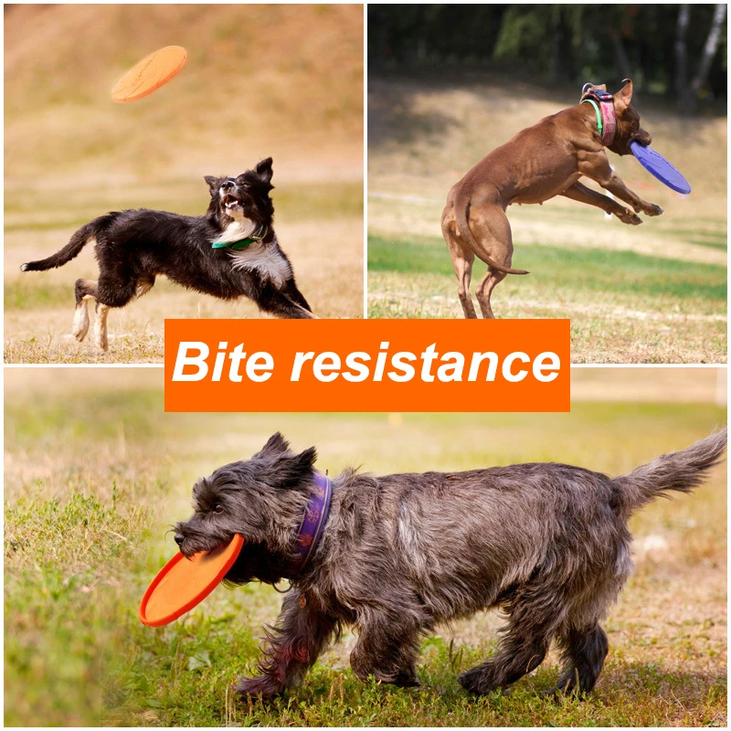 Gioco giocattoli per cani piccolo medio grande cane volante piattino resistente masticare cucciolo formazione giocattolo interattivo forniture per animali domestici