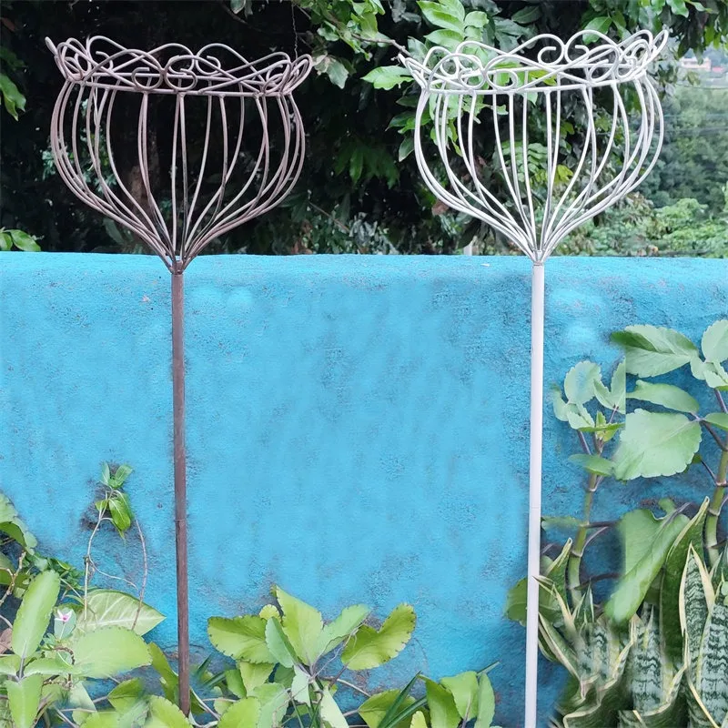 Wrought iron crown trellis, ground inserted climbing trellis, raised pots, rose orchids, pothos gardens, garden plants, balcony