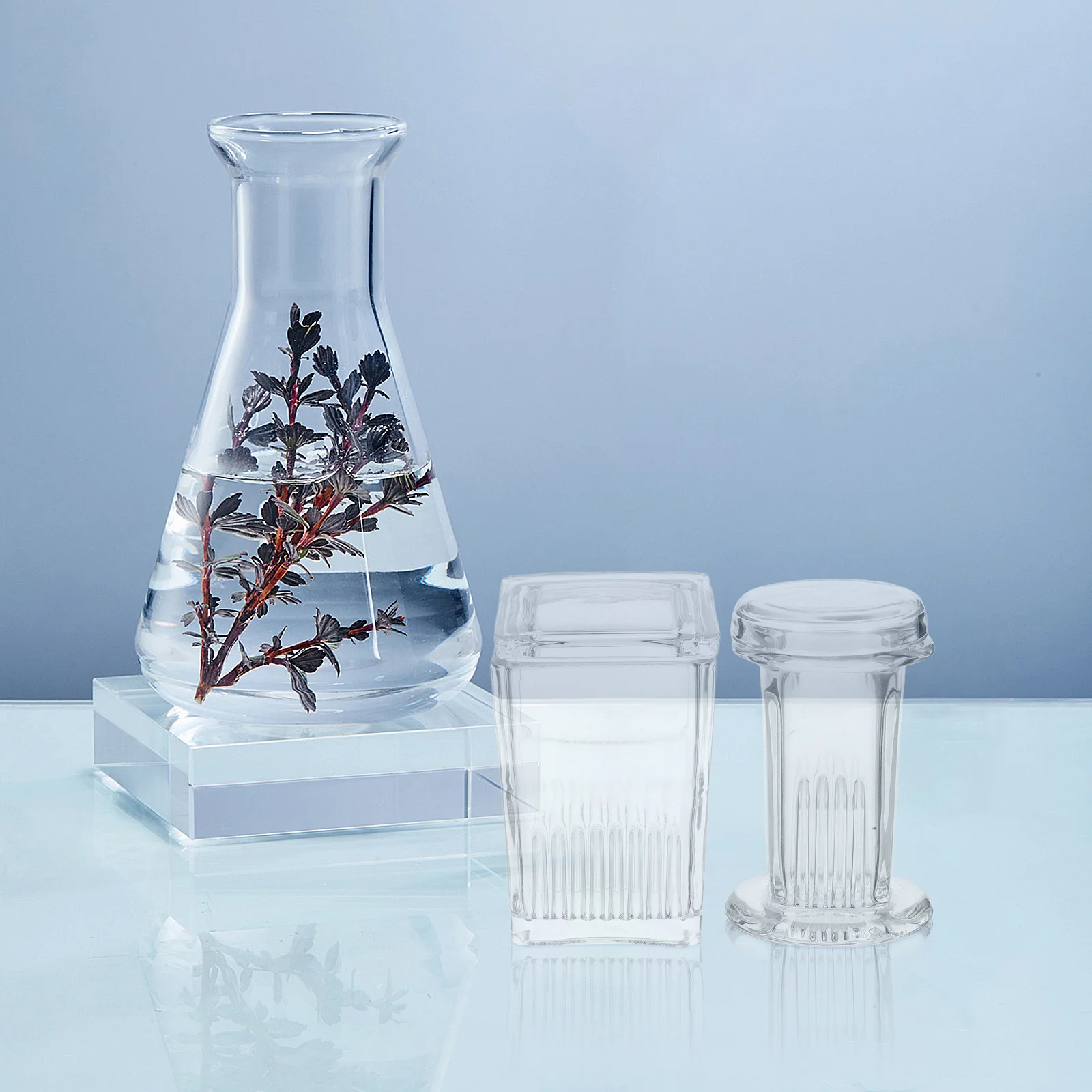 

2Pcs Glass Slide Staining Jar Clear Lab Staining Tank Vertical Slide Holder 5 and 9 Capacity Scientific Laboratory Glassware