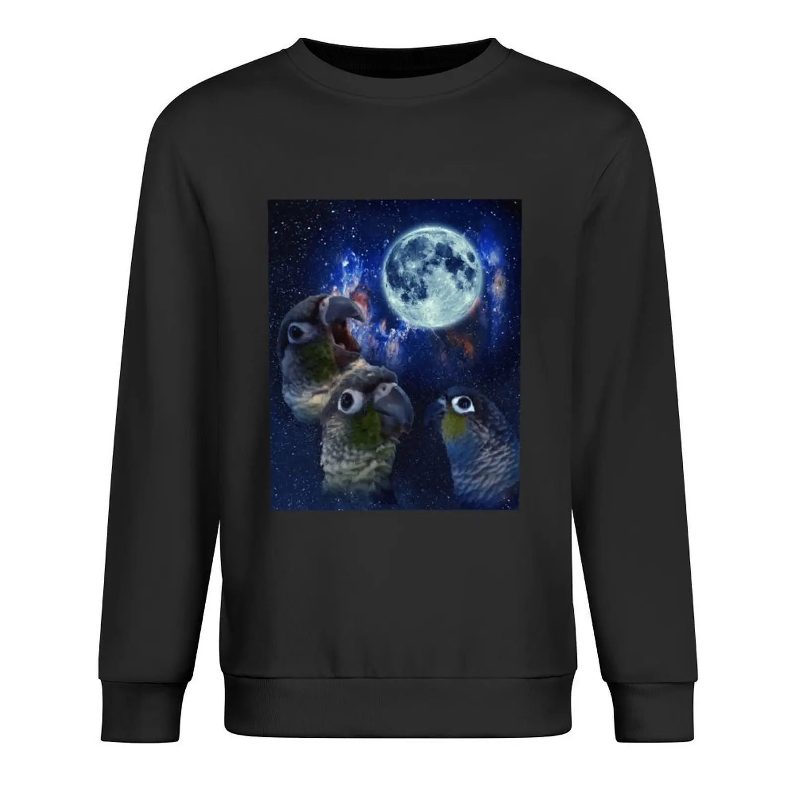 

Conures staring at the moon Pullover men's sweat-shirt men clothes anime clothes korean style clothes sports sweatshirt man