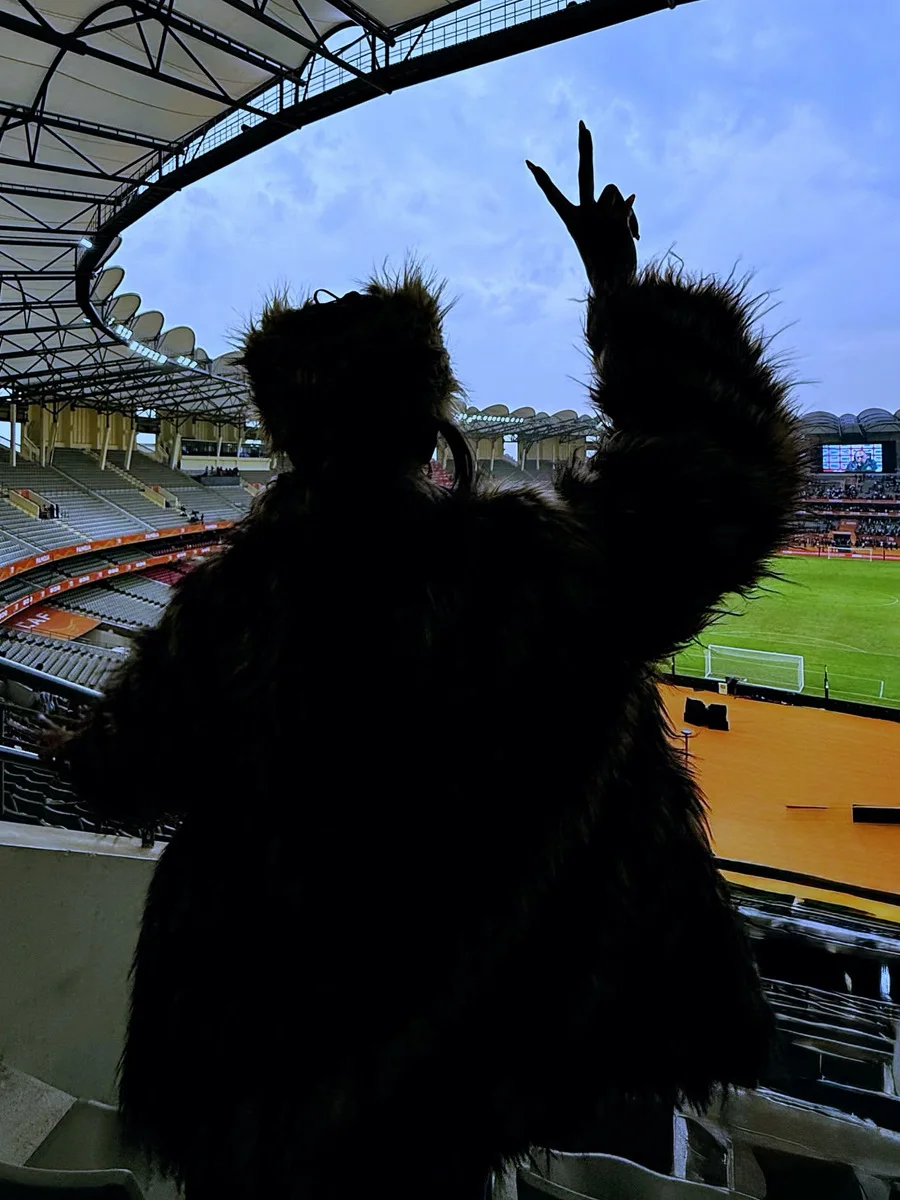 秋冬用ファー付きアウター レディース フェイクフォックスファーコート ジャケット ターンダウンカラー 長袖 オープンステッチ 厚手 暖かいファー ルーズ 2025