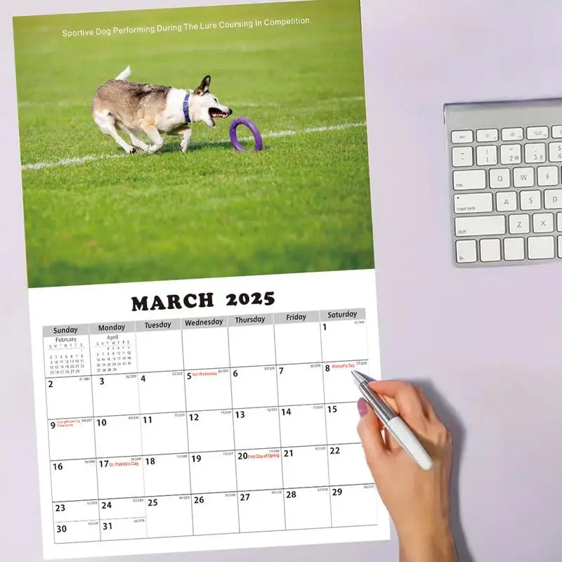 2025 Wall Calendar Interesting Husky Theme Wall Calendar & Wall Planner Annual Yearly Planner Clear Image 2025 Calendar For