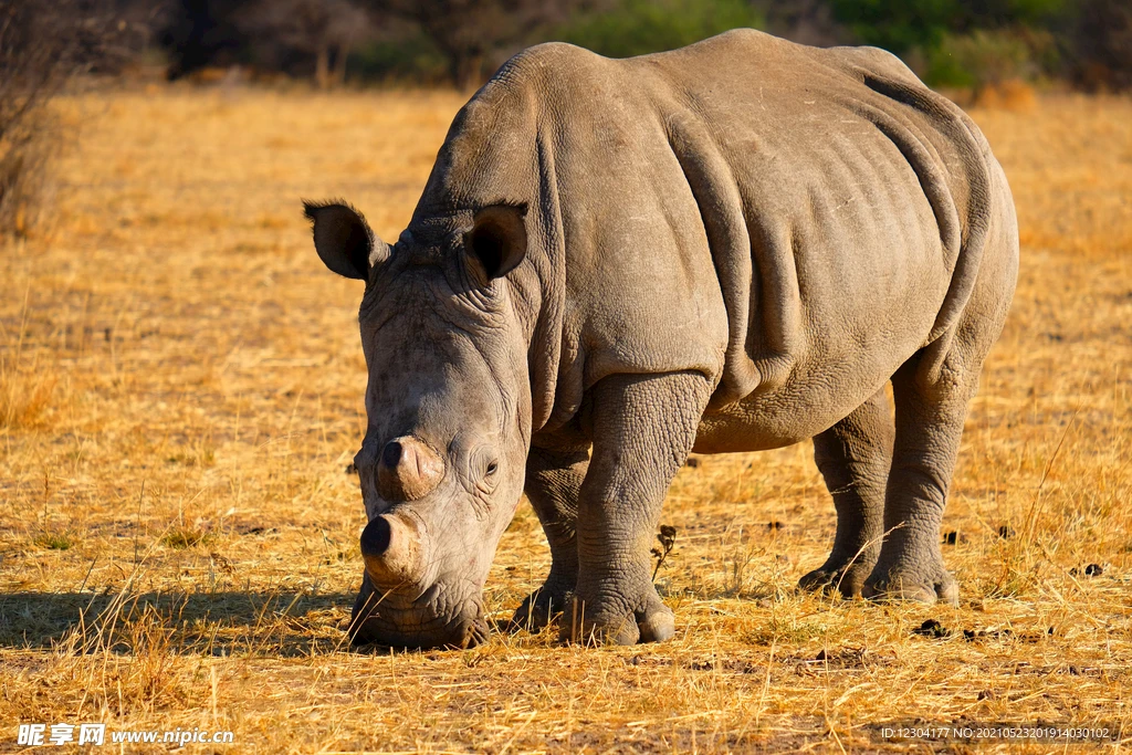 

50 мм 64 мм 70 мм 90 мм 11/12-лопастной импеллер EDF (вентилятор с канальным коллектором) 50A ESC для радиоуправляемой модели самолета E-flite Viper, запасные части