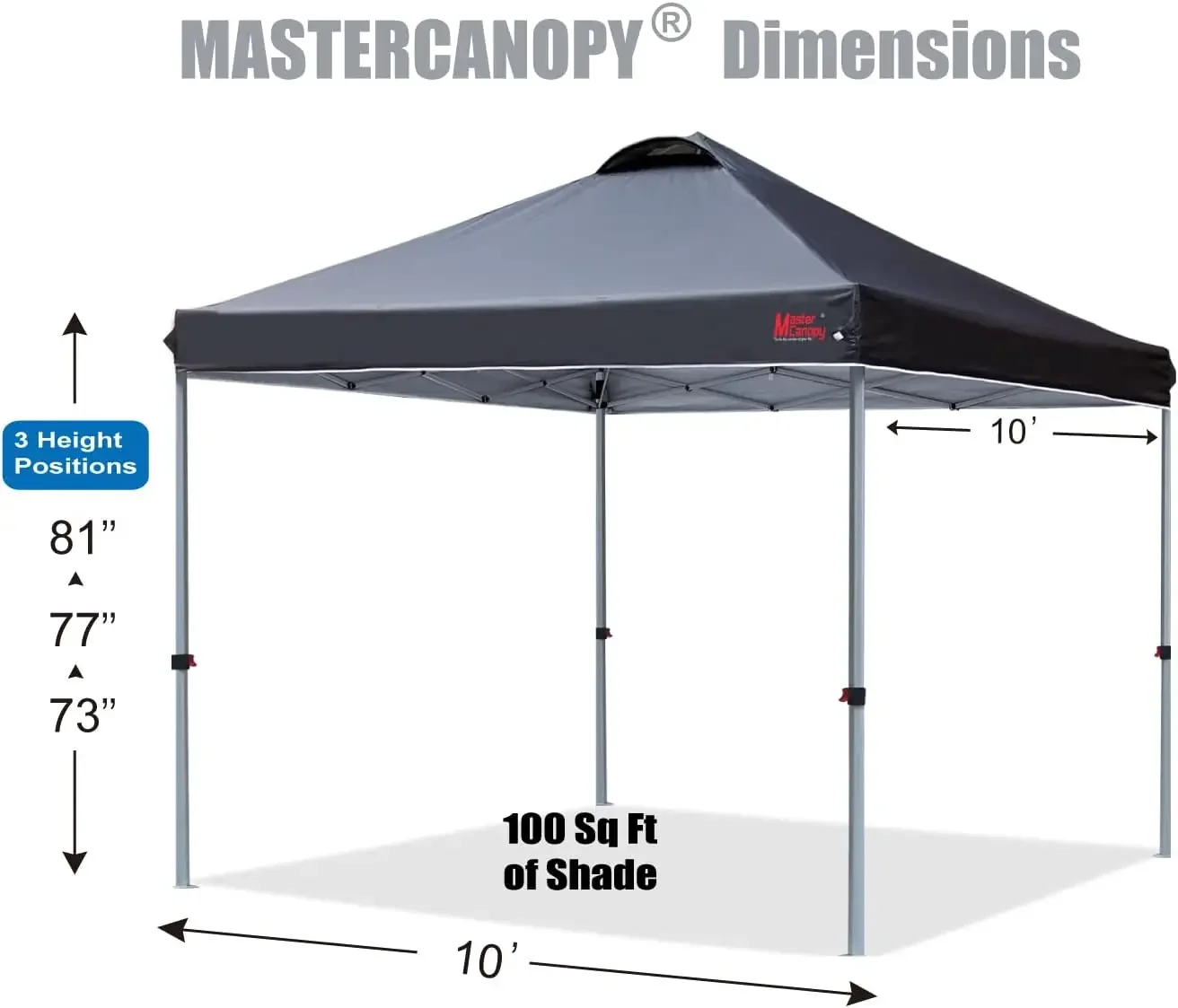 Durable Pop-up Canopy Tent with Roller Bag (10x10, Black)