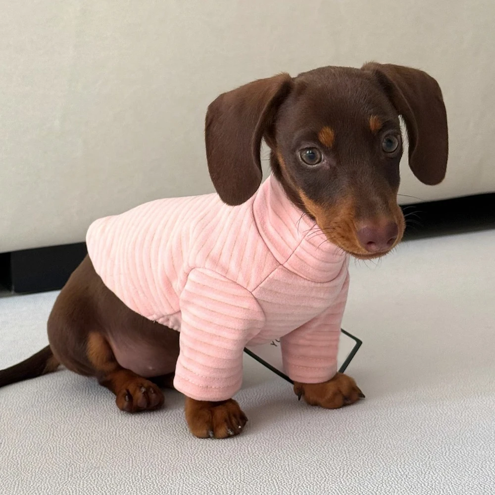 Stripe Miniaturedac…